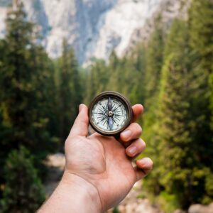 Hand holding a compass in front of a forest of trees, a mountain in the background.