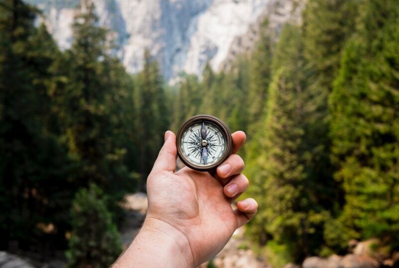 Hand holding a compass in front of a forest of trees, a mountain in the background. 