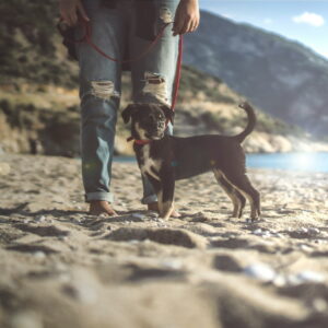 yasin-hosgor-mkiFnR3hM_0-unsplash